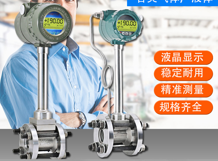 水（shuǐ）蒸汽流量計